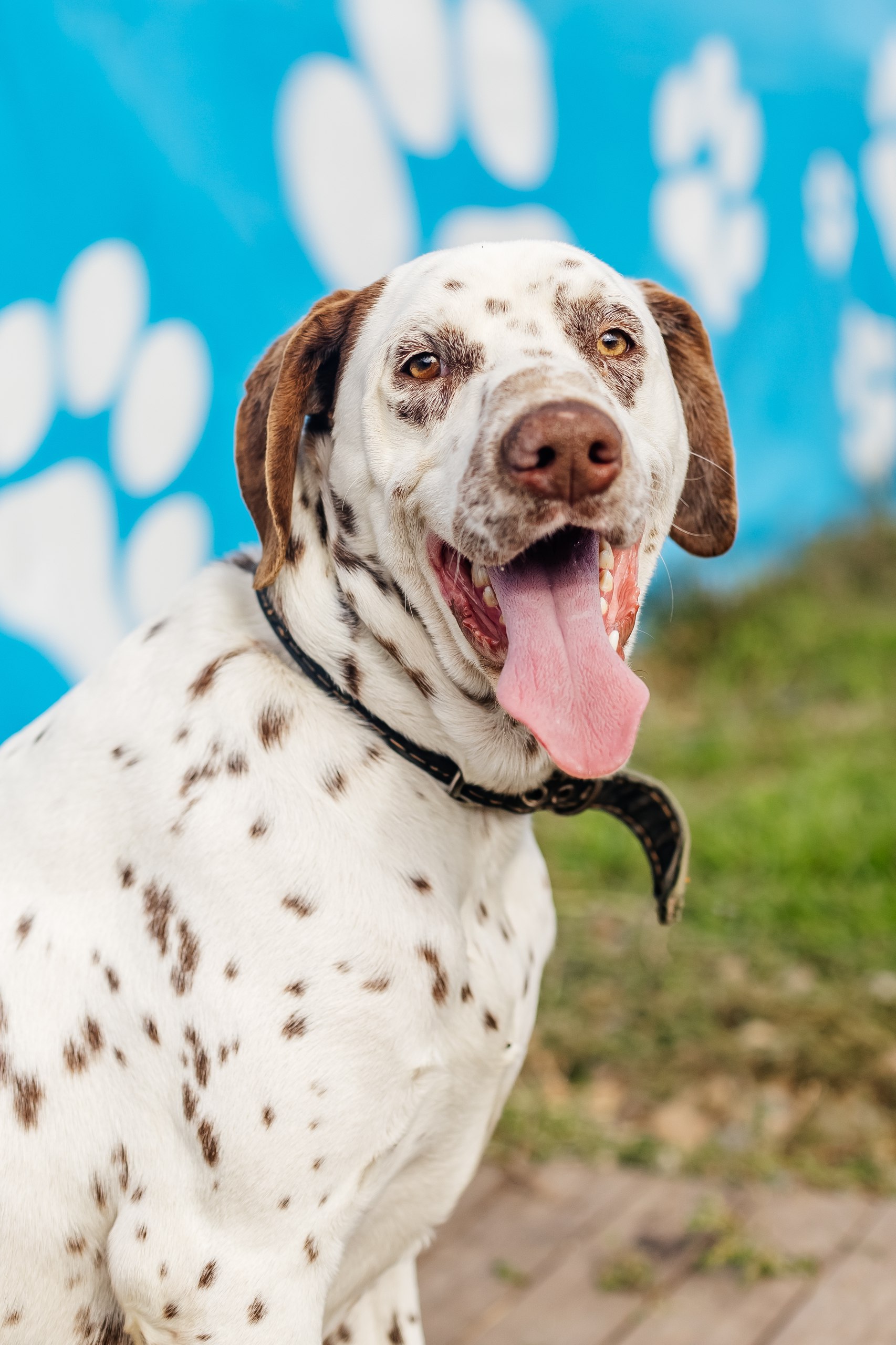 Комфортные условия проживания