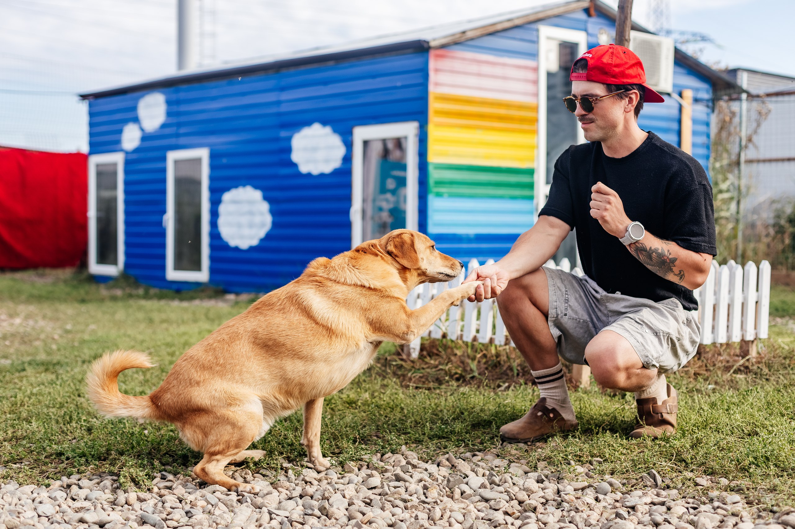 Уютные номера с окнами