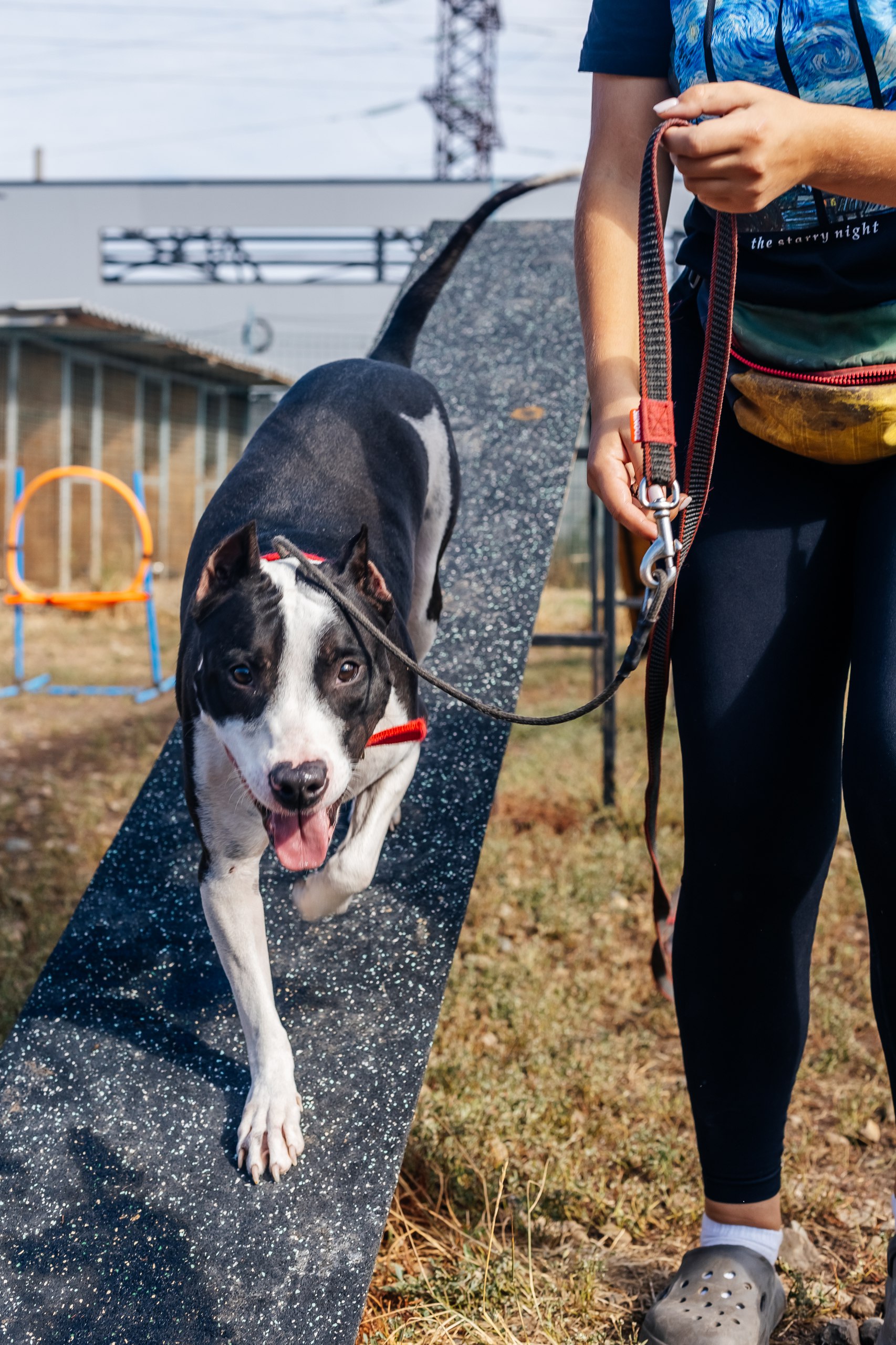 Просторные помещения